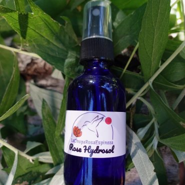 Rose Hydrosol 2oz