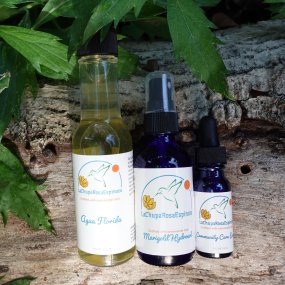 Energy Protection Travel Ritual