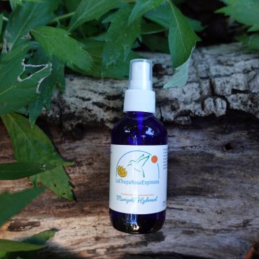 Mugwort Hydrosol 1oz