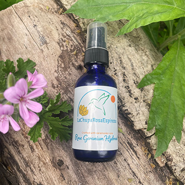 Rose Geranium Hydrosol