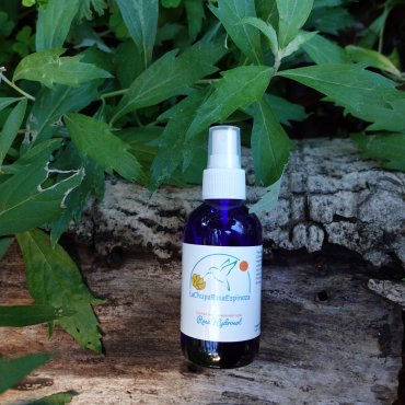 Mugwort Hydrosol 4oz