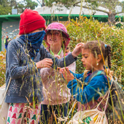 Three girls collecting plants at an outdoor summer camp.