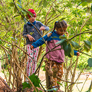 Two girls climibing along a fallen tree at summer camp.