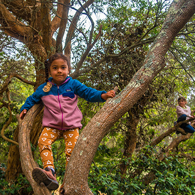 Two girls exploring the tops of trees at an outdoor summer camp.