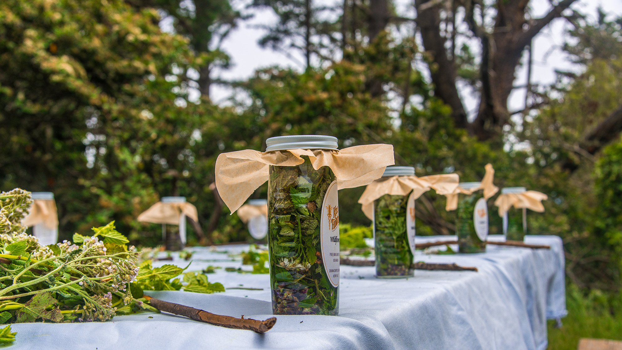 potions that campers made are lined up on table.